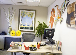 office plant news office plant news