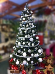 decorated-xmas-tress