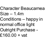 Character Beaucarnea Size – 1.4m  Conditions – happy in normal office light  Outright Purchase - £160.00 + vat