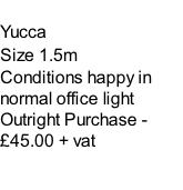 Yucca Size 1.5m Conditions happy in normal office light Outright Purchase - £45.00 + vat