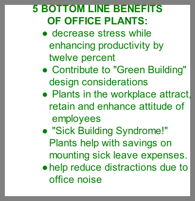 office plants benefits office plants benefits
