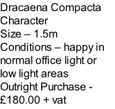 Dracaena Compacta Character Size – 1.5m  Conditions – happy in normal office light or low light areas  Outright Purchase - £180.00 + vat